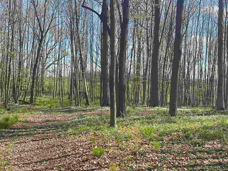 4816 Glenmore Rd, Ashwaubenon, WI 54115 - photo 1