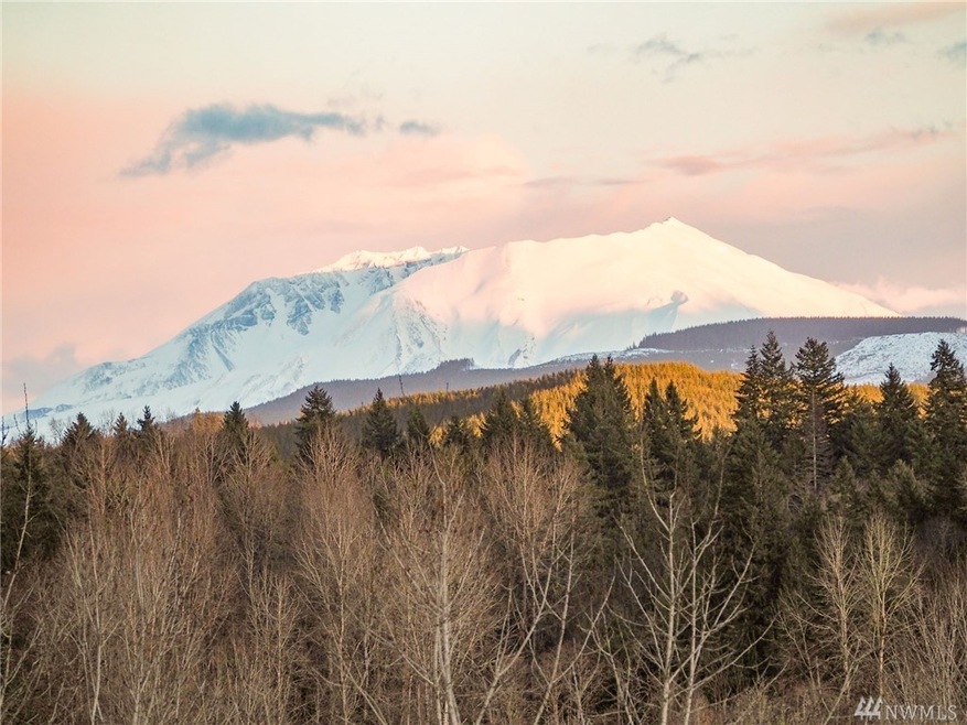 122 Rivercrest Dr, Toledo, WA 98591 - photo 1