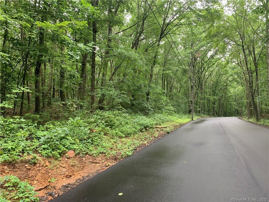 324 New City Rd, Stafford Springs, CT 06076 - photo 1