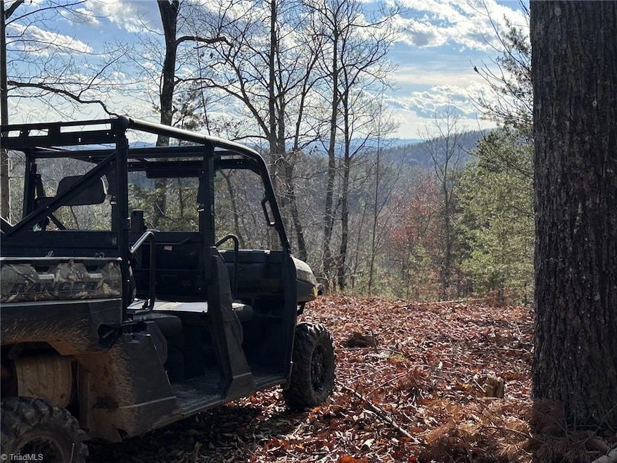 TBD1 Scout Rd, Lenoir, NC 28645 - photo 1