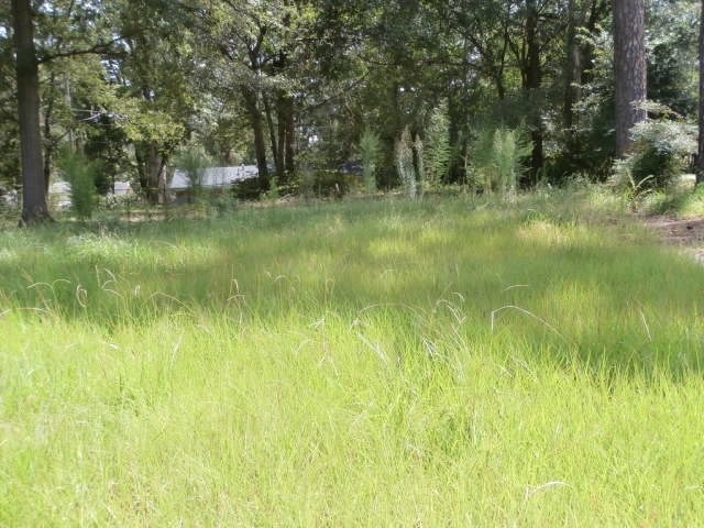 408 Endicott Ln, Albany, GA 31707 - photo 1