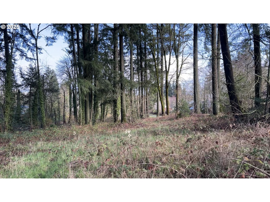 0 SW Walnut St, Tigard, OR 97223 - photo 1