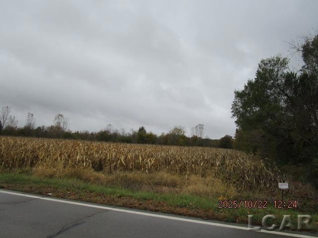 13002 Bartlett Rd, Clinton, MI 49236 - photo 1