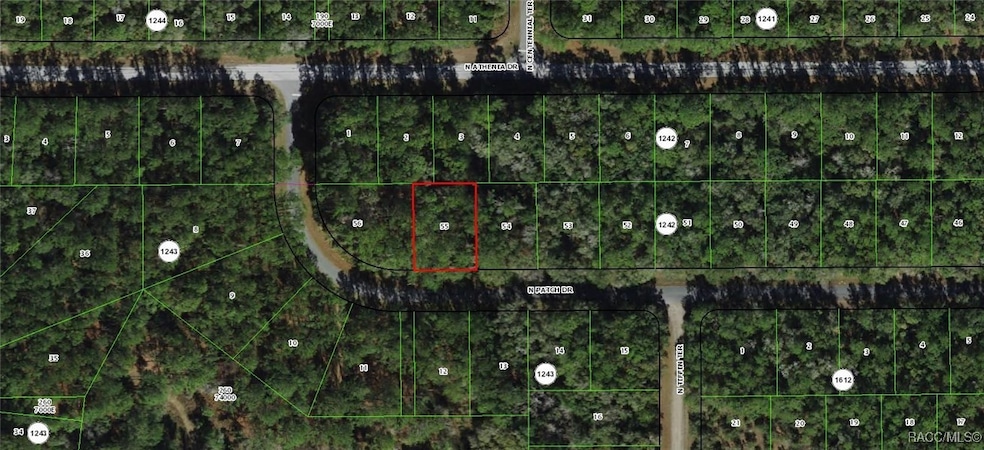 9281 N Patch Dr, Citrus Springs, FL 34434 - photo 1