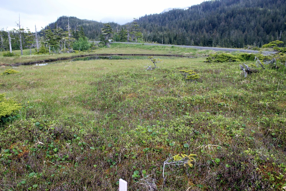 South corner of lot and right of way