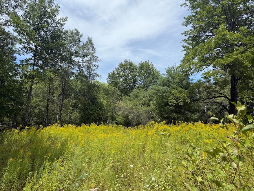 Lot 14 Dead River Rd, West Bowdoin, ME 04287 - photo 1