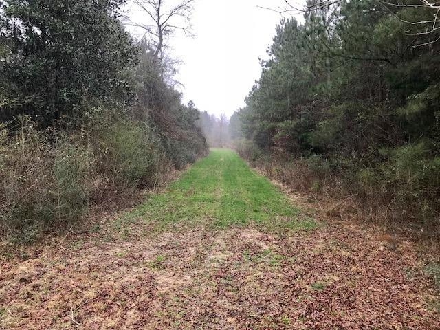 000 W Burnette Rd, Jayess, MS 39641 - photo 1
