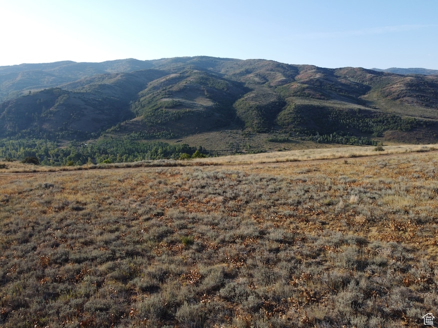 View of mountain background