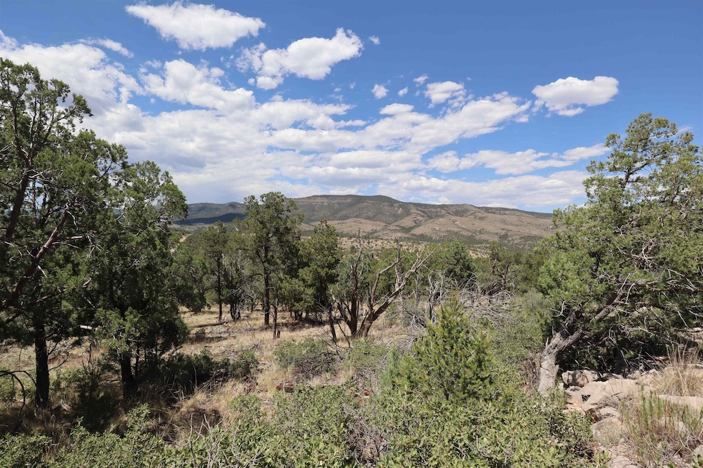 000 Trailer Rd unit 23, Timberon, NM 88350 - photo 1