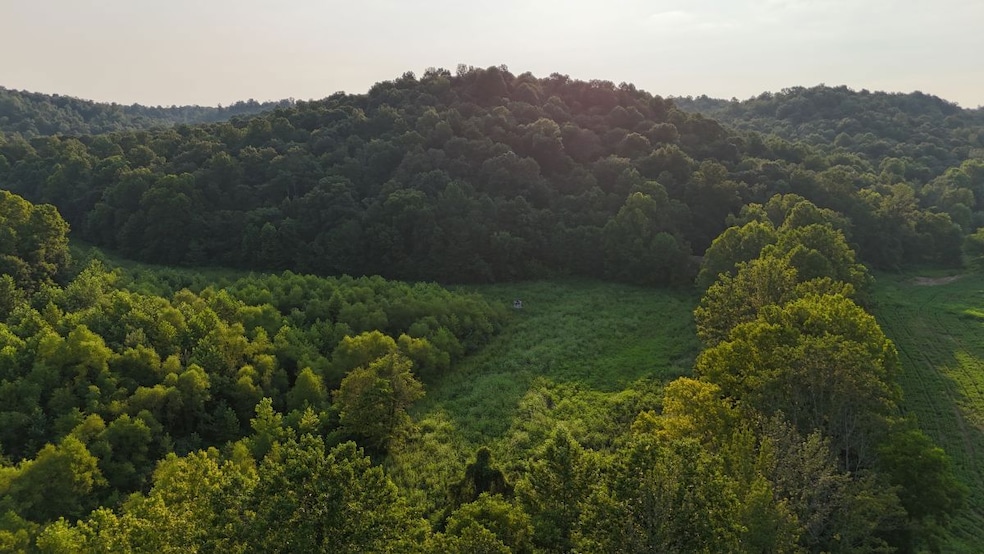 0 Ready Rd unit LotWP001 24349622, Caneyville, KY 42721 - photo 1