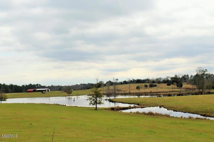 75+/-Ac Ccc Rd, Lucedale, MS 39452 - photo 1