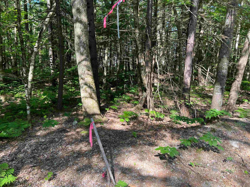 26 Huttwil Dr unit M104/L001, Madison, NH 03849 - photo 1