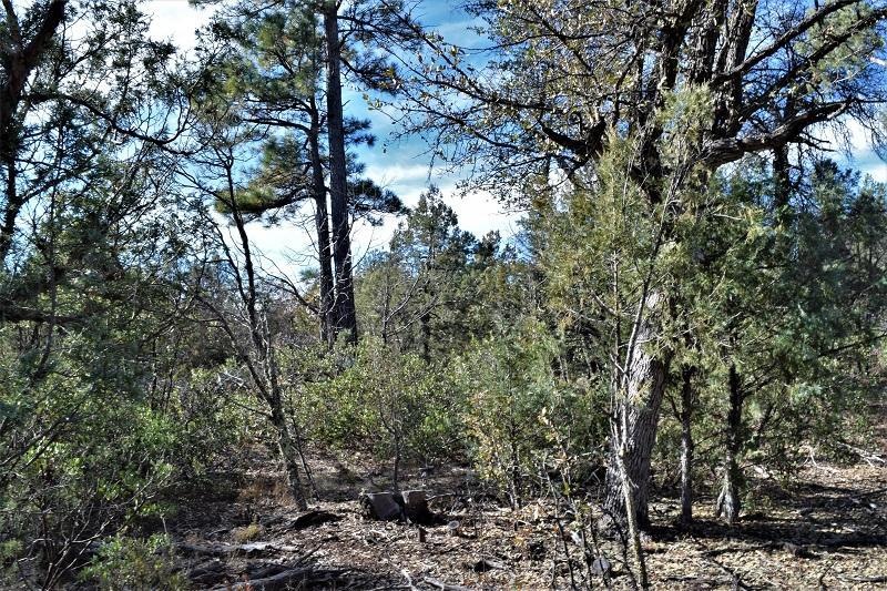 Lot 48 of Manzanita Hills (7)