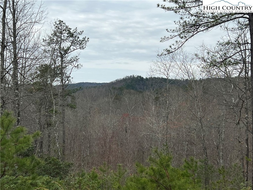 19 Lavender Ln, Ferguson, NC 28624 - photo 1