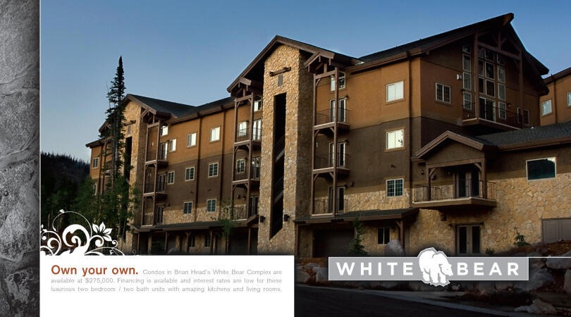 White Bear
