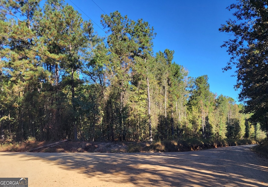 1669 Griswoldville Rd, Macon, GA 31217 - photo 1