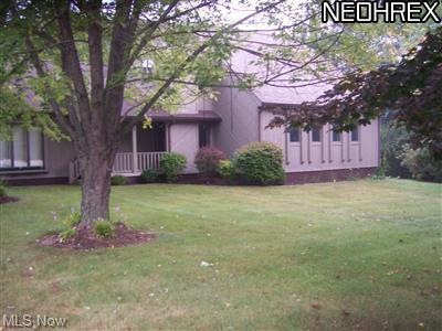 46372 Seville Ln, East Liverpool, OH 43920 - photo 1