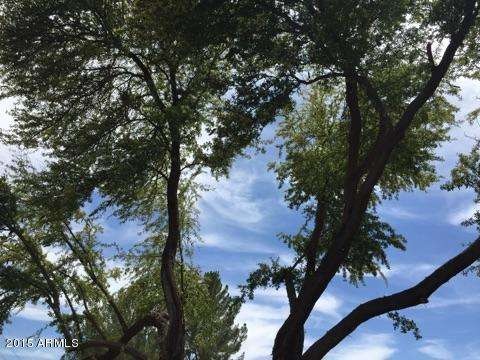 8430 N 15th Ave, Phoenix, AZ 85021 - photo 1