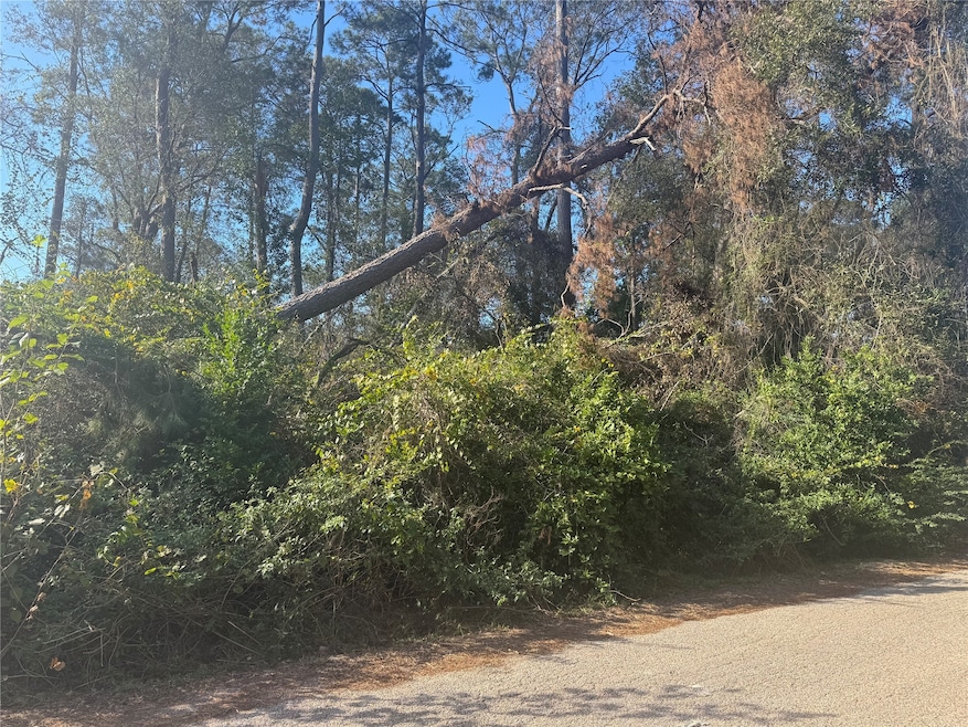 TBD Hickory, Splendora, TX 77372 - photo 1