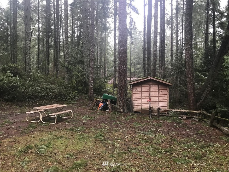 22231 Bluewater Dr SE, Yelm, WA 98597 - photo 1