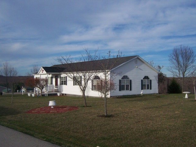 Main View