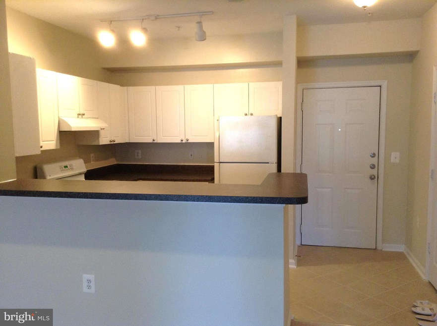 11319 Aristotle Dr unit 3-409, Fairfax, VA 22030 - photo 1