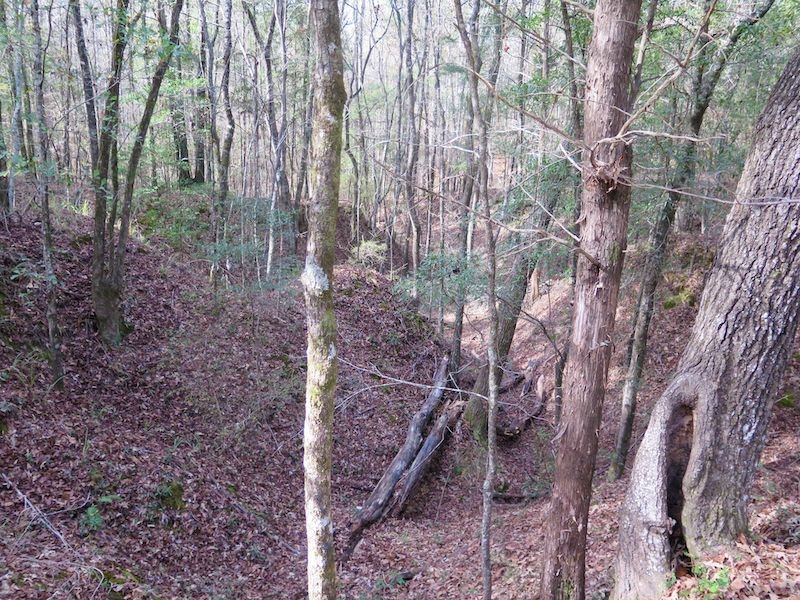 Tbd Burrage Rd unit LotWP001, Enterprise, MS 39330 - photo 1