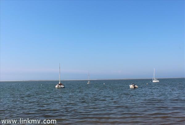 37 Jeremiah Rd, Edgartown, MA 02539 - photo 1