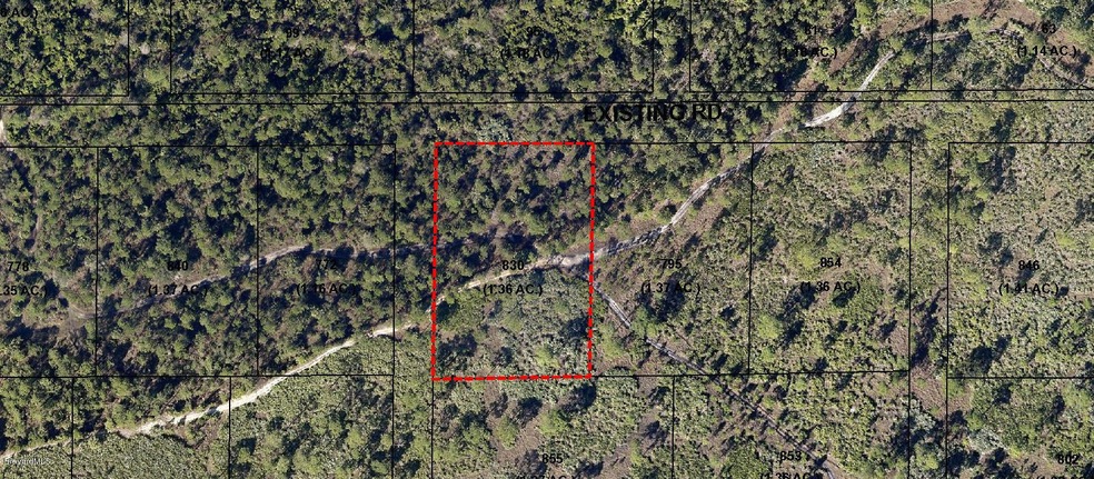aerial 1