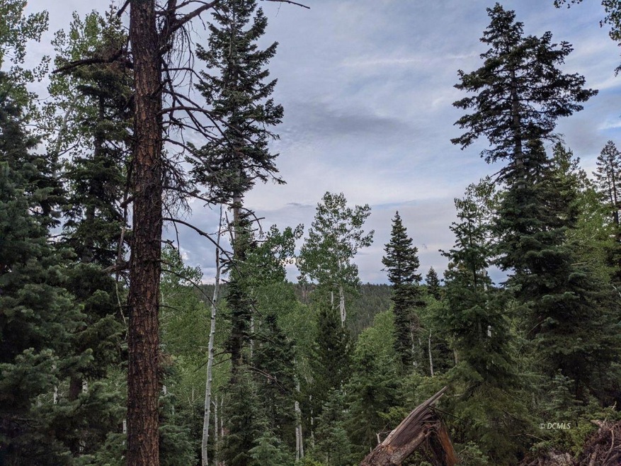 35 S Solitude, Duck Creek Village, UT 84762 - photo 1