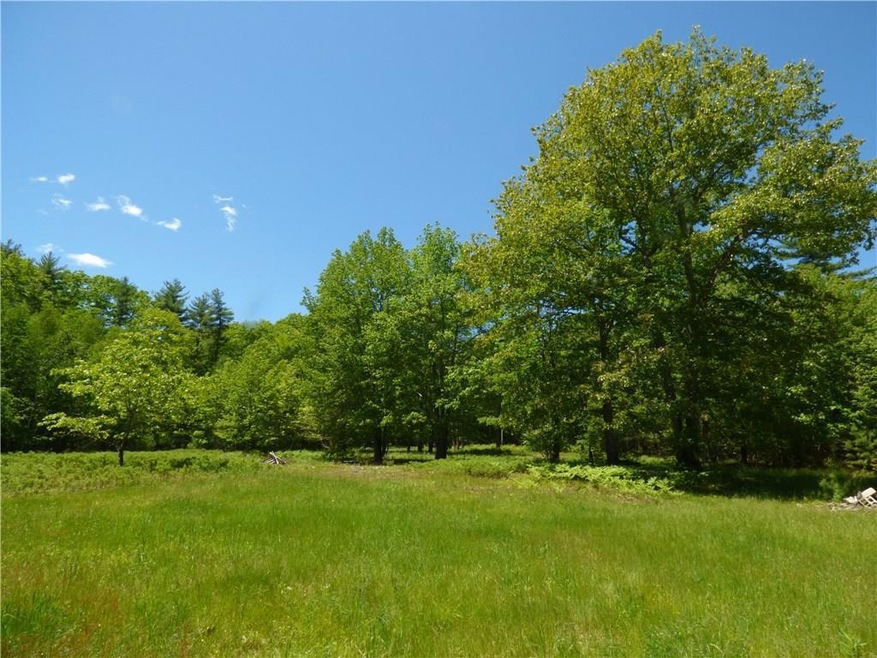 Beautiful open lot with lots of...