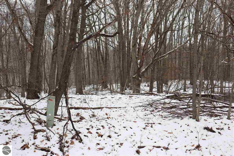Main street view of the vacant lot 967.
