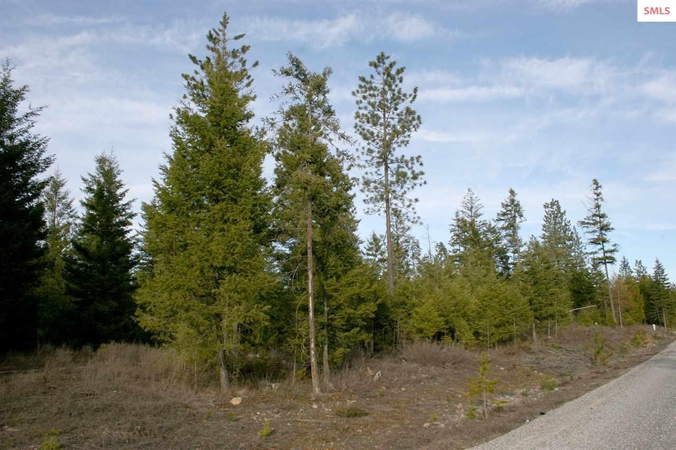 NNK B5 Northern Sky Rd, Athol, ID 83801 - photo 1