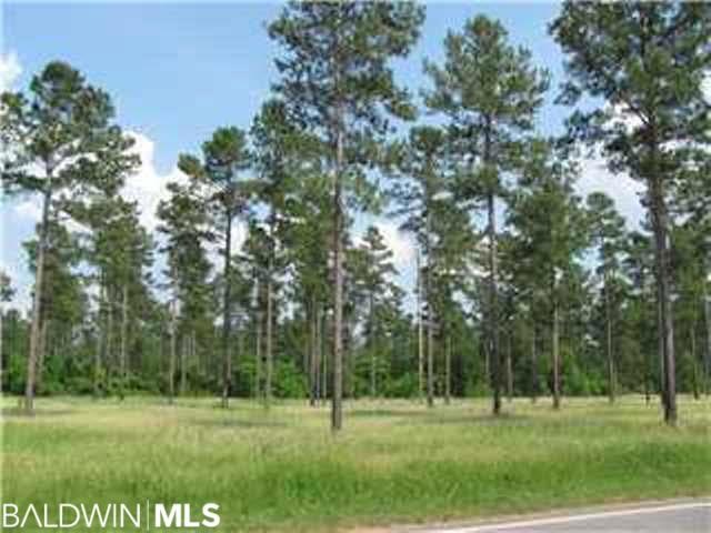 0 Wilmer Tanner Williams Rd unit 224654, Wilmer, AL 36587 - photo 1