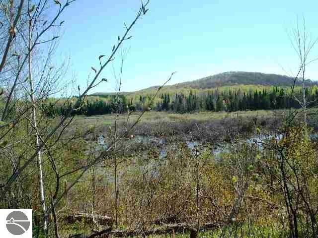 Huffman Lake Rd, Vanderbilt, MI 49795 - photo 1