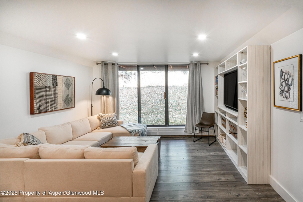 1316 Vine St unit 1316, Aspen, CO 81611 - photo 1