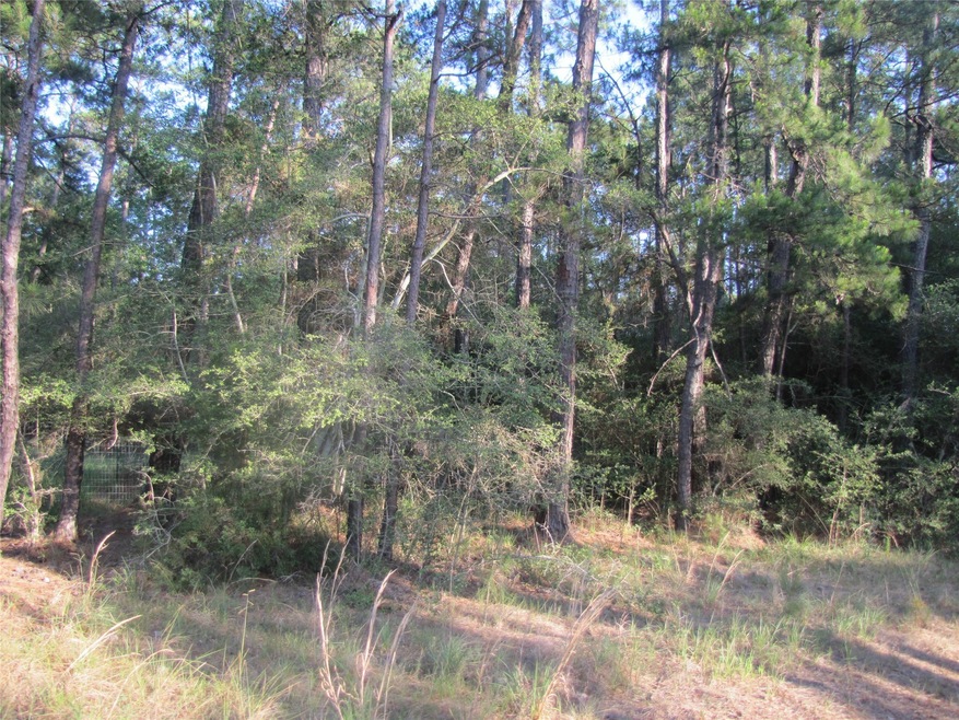 30233 Johnson Alley, Magnolia, TX 77355 - photo 1