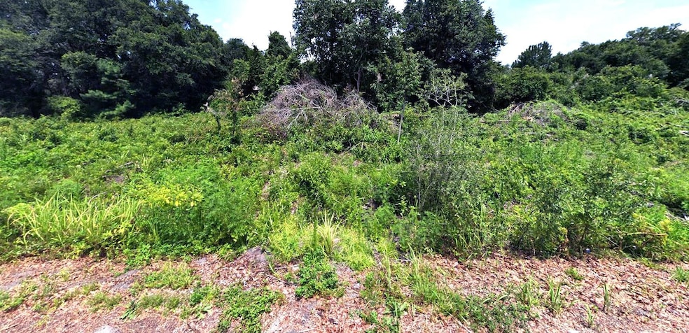 0 Oak Ln Trail unit 25713282, Ocala, FL 34472 - photo 1