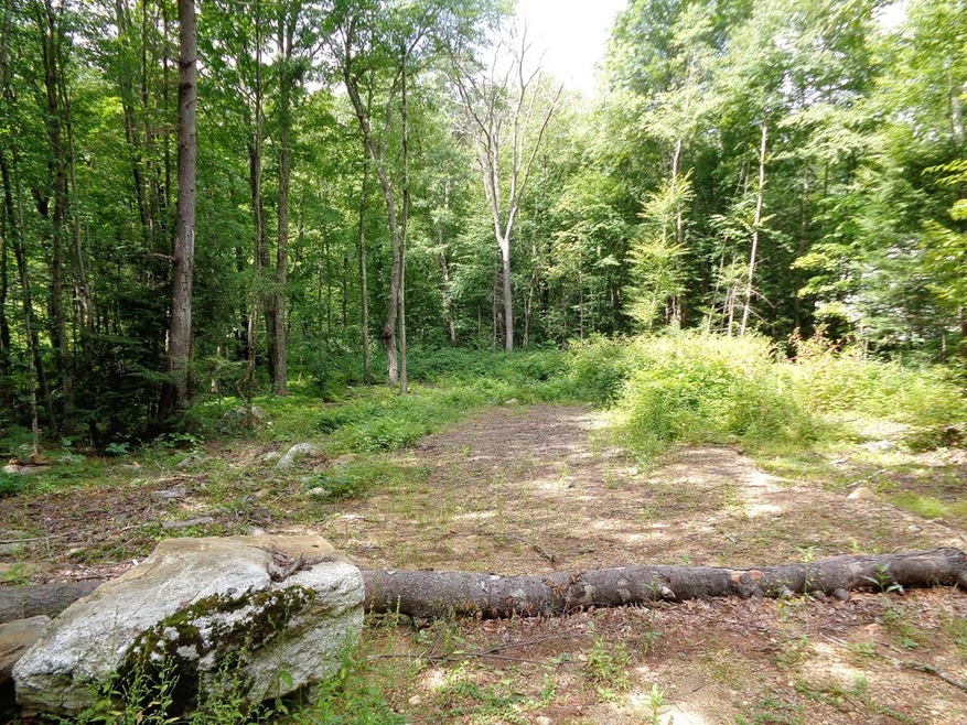 121 Paradise Ln, Sturbridge, MA 01518 - photo 1