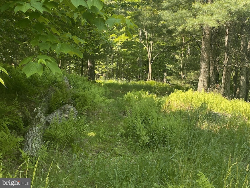 For Sale $49,500 • Co-Listing Agent