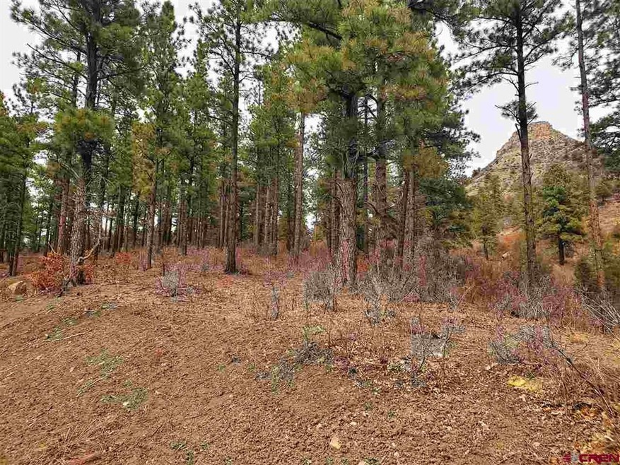 0 Bell Flower Ct unit 767541, Durango, CO 81301 - photo 1