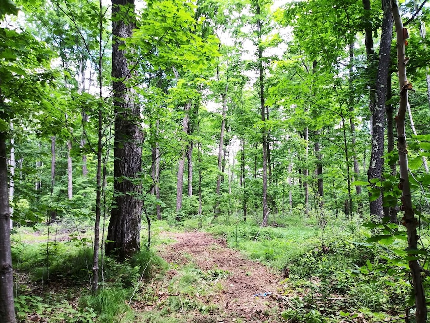 Tea Lake Rd, Crandon, WI 54520 - photo 1