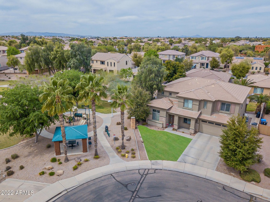 Birdland - Aerial-3