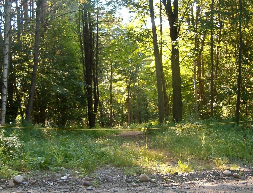 2 Meadow Rd unit 2, Ludlow, VT 05149 - photo 1