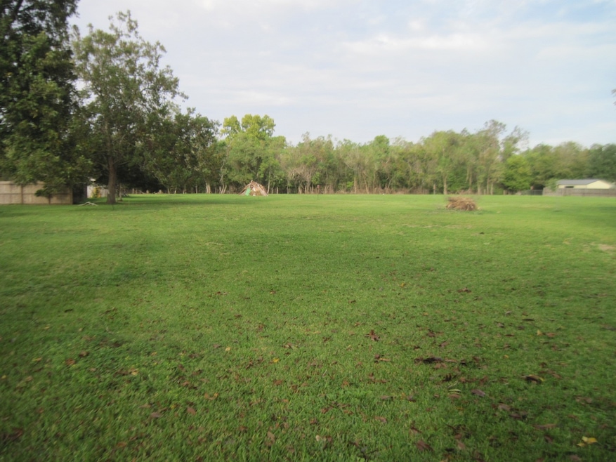 217 High St, Brazoria, TX 77422 - photo 1