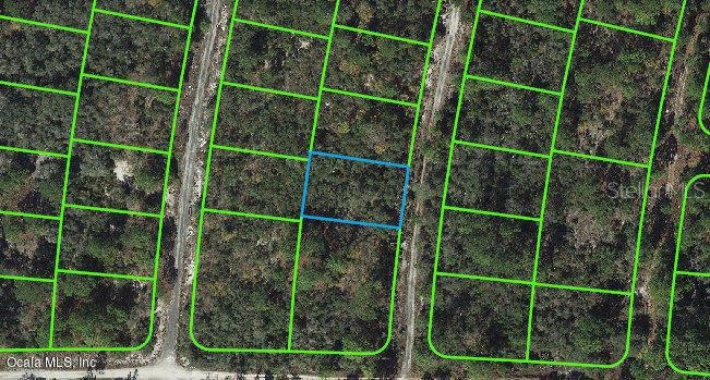 308 Imagination Dr, Lake Placid, FL 33852 - photo 1