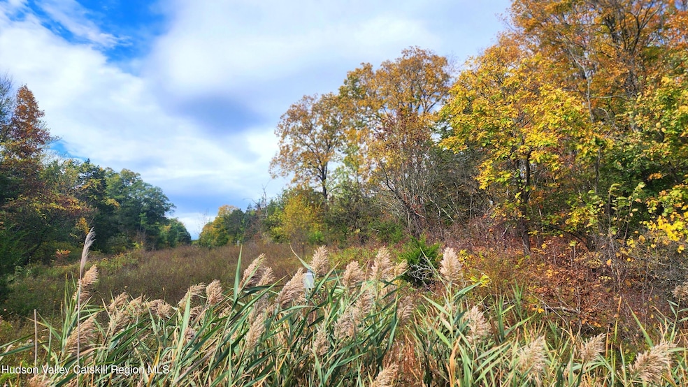 0 Route 9w unit 20254742, Athens, NY 12015 - photo 1