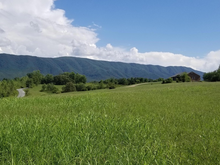 Lot 41 Tabor Rd, Greeneville, TN 37743 - photo 1