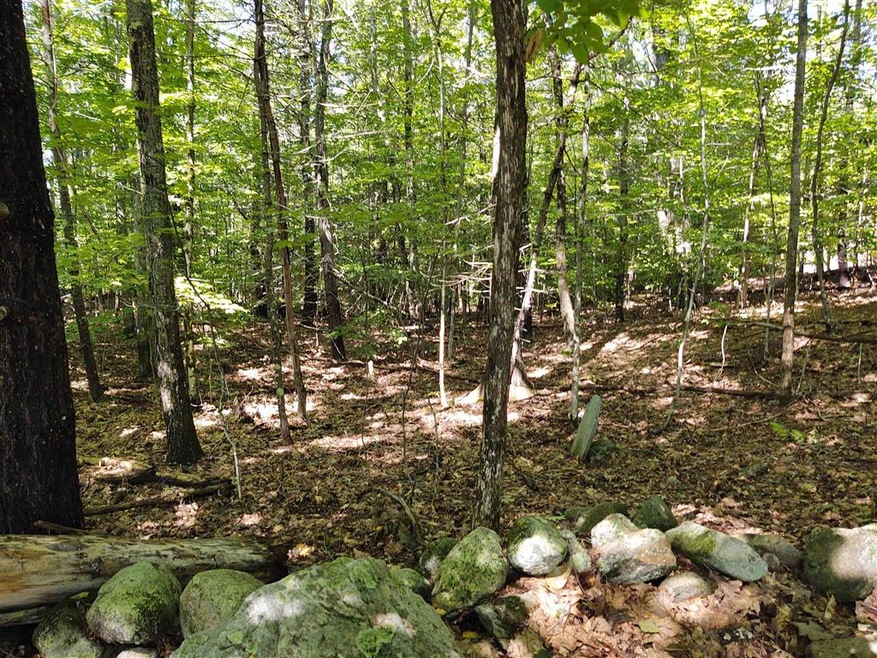 TM 55-2-5 Middle Rd, Center Tuftonboro, NH 03816 - photo 1