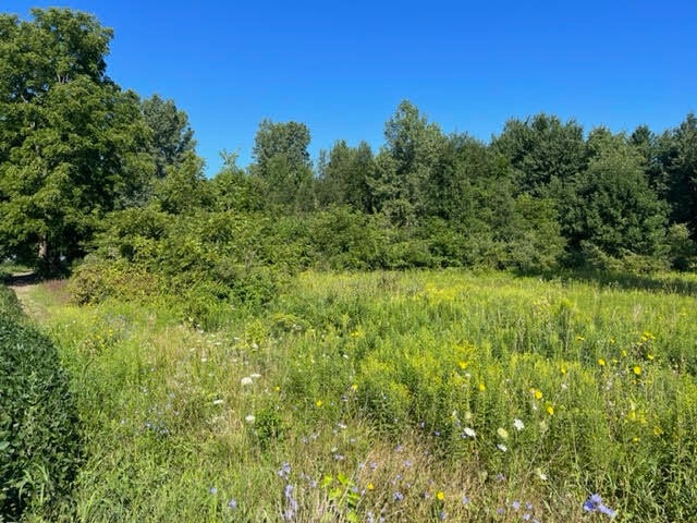 3780 14th St, Wayland, MI 49348 - photo 1